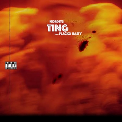 TING (feat. Flacko Nasty) - Single