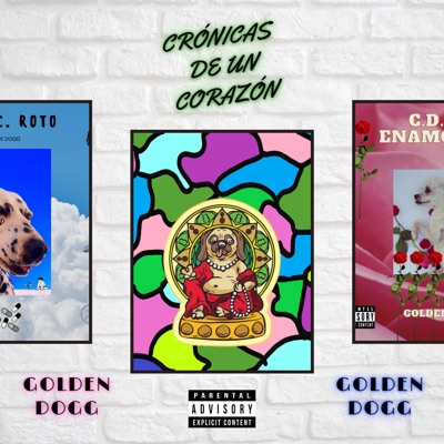 Crónicas de un Corazón