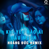 Khi Yêu Nào Ai Đâu Muốn (Hoàng Đức Remix) - Qinn Media, Trịnh Thiên Ân & Thiên Dũng