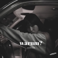 Warum? - Single - Ad-Rian