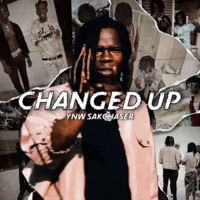 Changed Up (Slow Down Part 2) [Slow Down Part 2] - Single - YNW SakChaser
