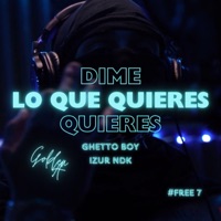 Dime Lo Que Quieres (feat. Ghetto Boy & Izur NDK) - Single - GoldenA