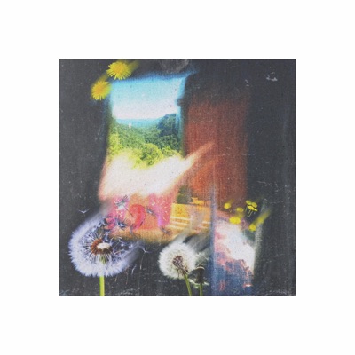 Rerouting - EP