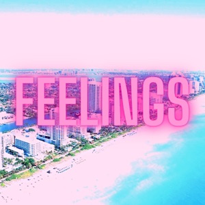Feelings