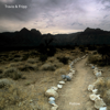 Follow - Theo Travis & Robert Fripp