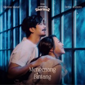Mengenang Bintang ( From 'Petualangan Sherina 2' ) artwork