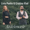 Ardelencele (feat. Cristina Vlad) - Single