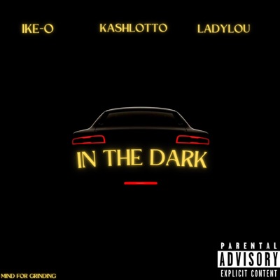 In the Dark (feat. KashLotto & LadyLou) - Single
