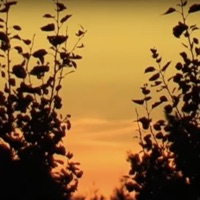 Ruhrpott Sunset (feat. Michael Nightmare & Flocke 84) - Single - Meller To The Bone