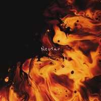 Nectar - Single - Hazue