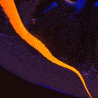 28.04.2022 (feat. Channel Blue & Sushijams) - Single - Bluesushi