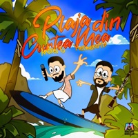 Plaja Din Curtea Mea - Single - Andrei G, HERMENOTIS & Ministerul Manelelor