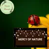 Stream & download Mercy of Nature