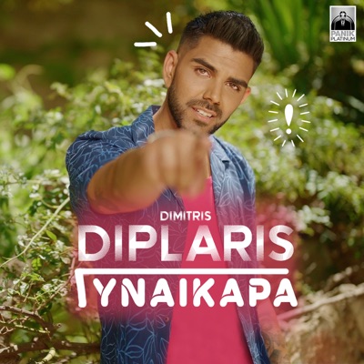 Song - Gynaikara - Δημήτρης Δίπλαρης