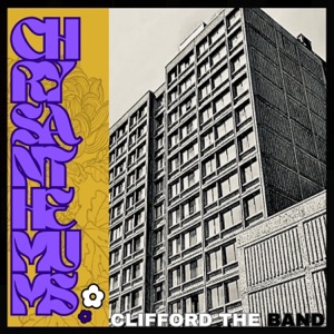 Chrysanthemums - Single