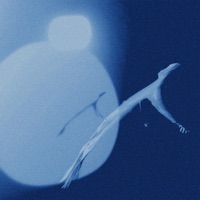 One Place - Single - Carey Clayton