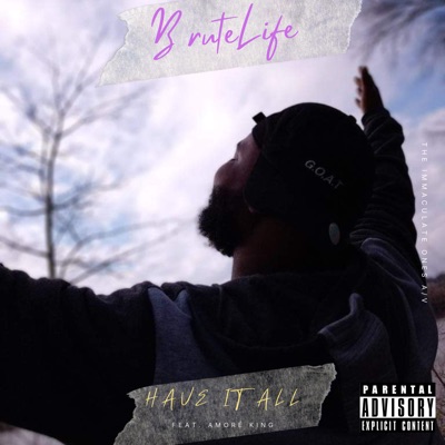 Have It All - Single
