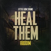 Heal Them Riddim (Extended) artwork