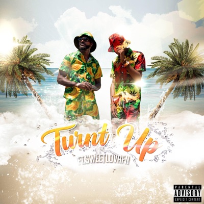 Turnt Up (feat. SweetLovaFN) - Single