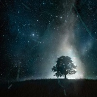 FRACTAL (feat. nekoAce) - Single - tXcos!