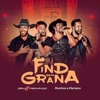 Find Sem grana (Ao Vivo) - Single