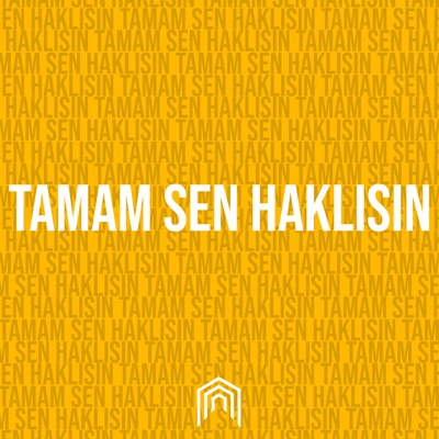 Tamam Sen Haklısın - Single