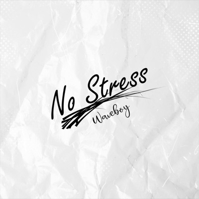 No Stress - Single