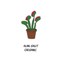 Organic - Single - Alan Galit
