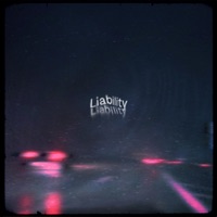 Liability - Single - SWIM