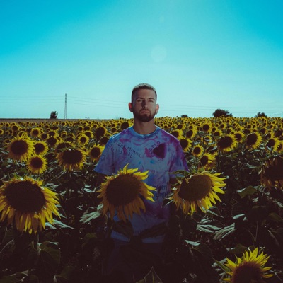 Polvo de estrellas - Single