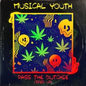 Pass the Dutchie (Re-Recorded - Sped Up) artwork