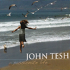 A Passionate Life - John Tesh