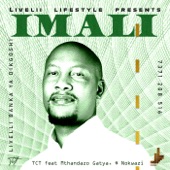 Imali (feat. Mthandazo Gatya & Nokwazi) artwork