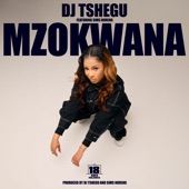 Mzokwana (feat. Sims Noreng) artwork