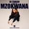 Mzokwana (feat. Sims Noreng) - DJ Tshegu lyrics