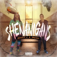 Shenanigans - Single - 2Treed