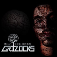 Córtex Cerebral - Grilocks