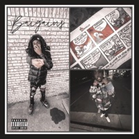 Baigains (feat. JayGoGetem & Prince Cj) [Remix] - Single - You Could Never Records