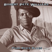 Robert Pete Williams - Shake, Shake Baby