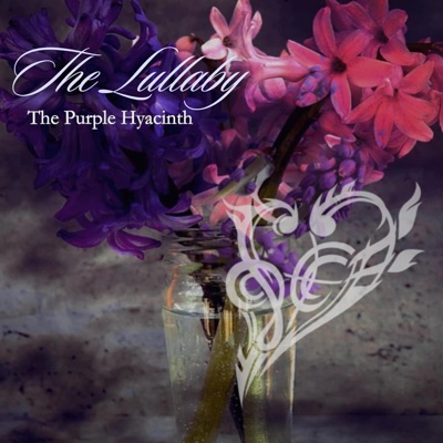 The Lullaby - Single