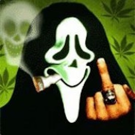 When We Drop the Haters Pissed Sativa