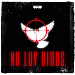 No Luv Birds (feat. 10Hunnid)