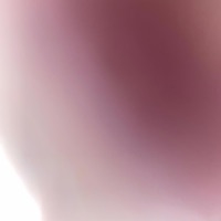 Bonnie & Clyde (feat. C20) - Single - Tuney.2x