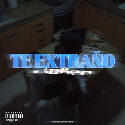 Te Extraño - Single