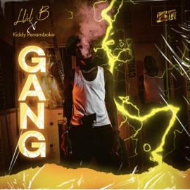 GANG (feat. KIDDY PENAMBOKO) Llil B