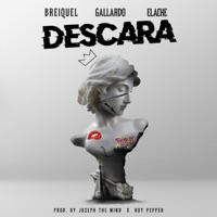 Descara (feat. Gallardo & Elache) - Single - Breiquel