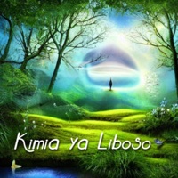 Album cover for Tyla by Institute for Mindful Music & Meditation IMMM