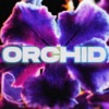 Orchid - Single