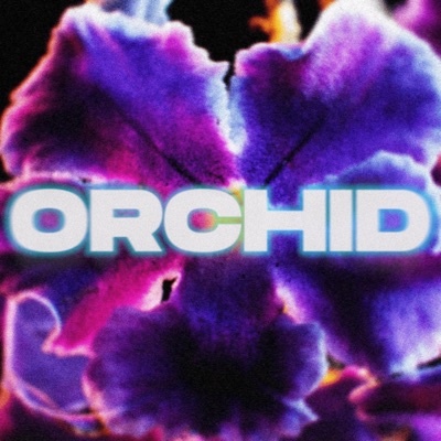 Orchid - Single