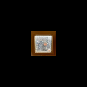 Demo ii - Precious Human